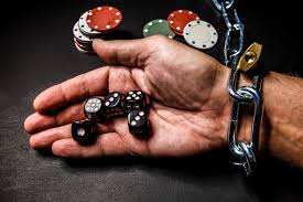 Как войти на сайт Kaktuz Casino